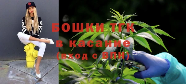 PSILOCYBIN Алексеевка